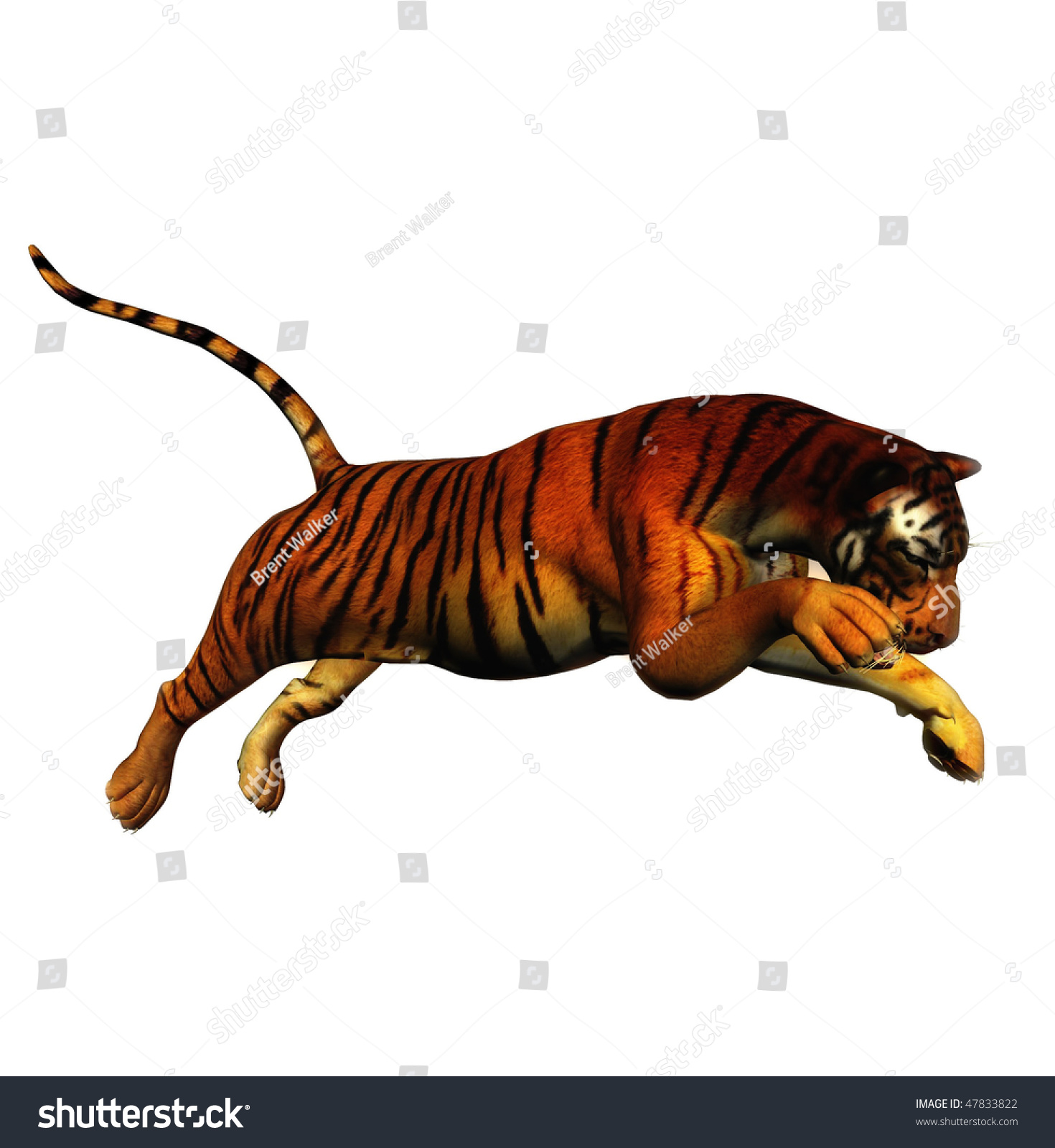 Jumping Tiger Illustration - 47833822 : Shutterstock