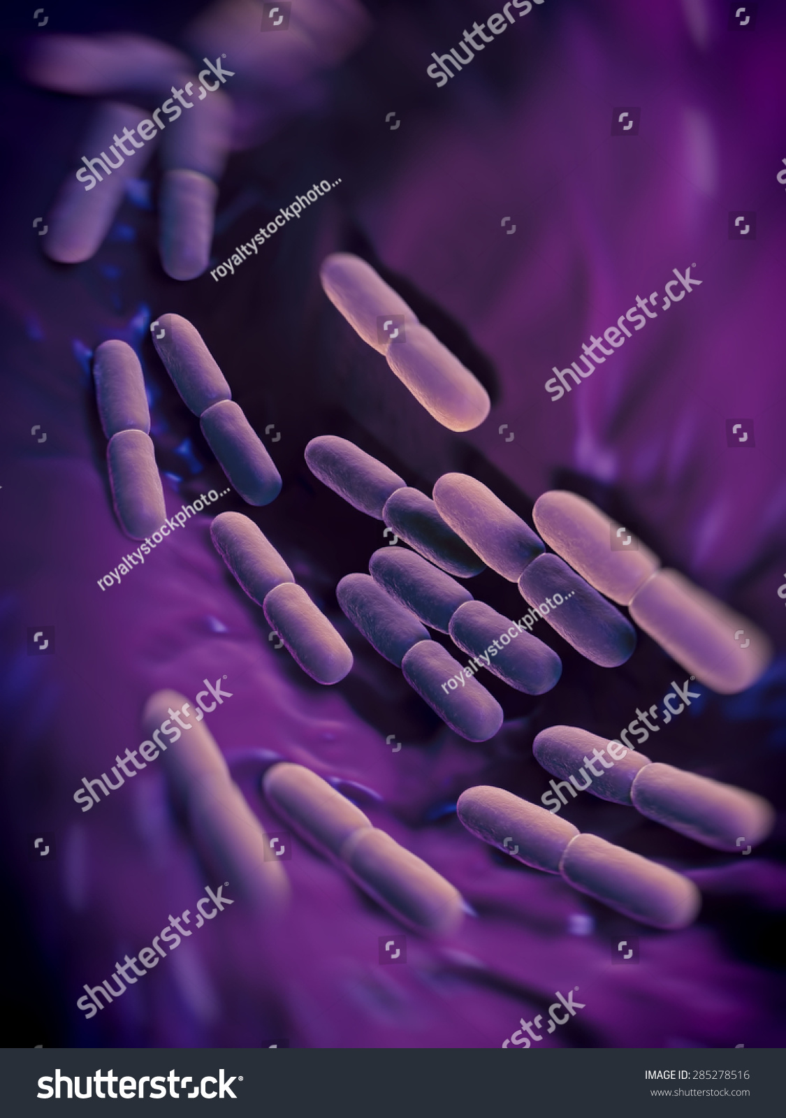 Really. join bacteria free vagina interesting Bacteria free vagina