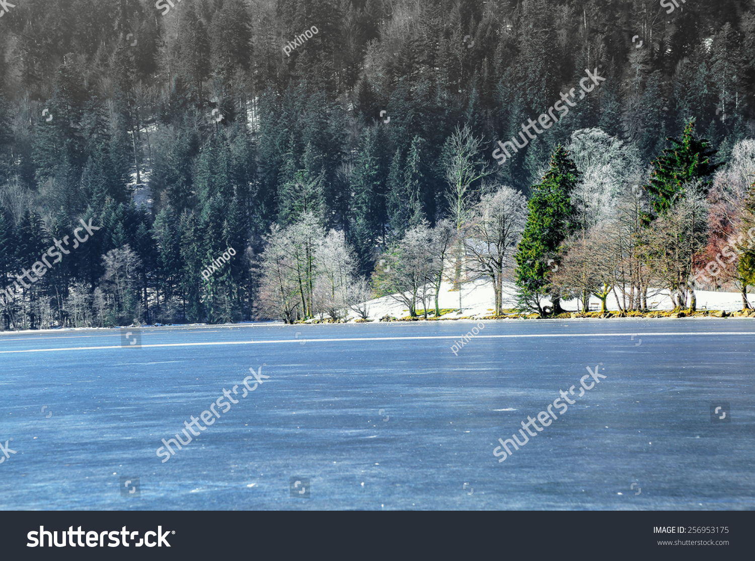 Landscape Frozen Longemer Lake Vosges Mountain Stock Photo