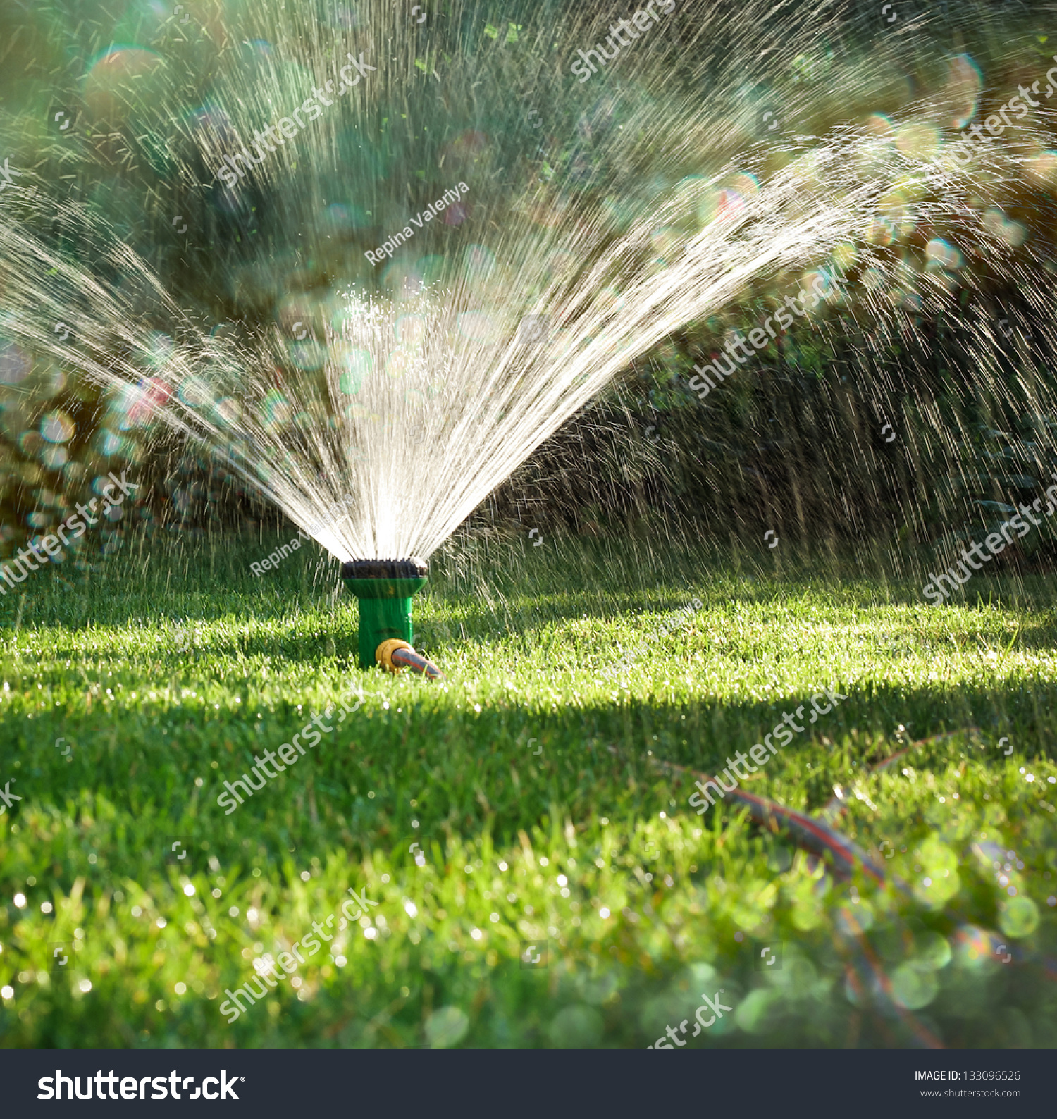 Landscape Of Irrigation Garden. Lawn Sprinkler Spraying Water Over