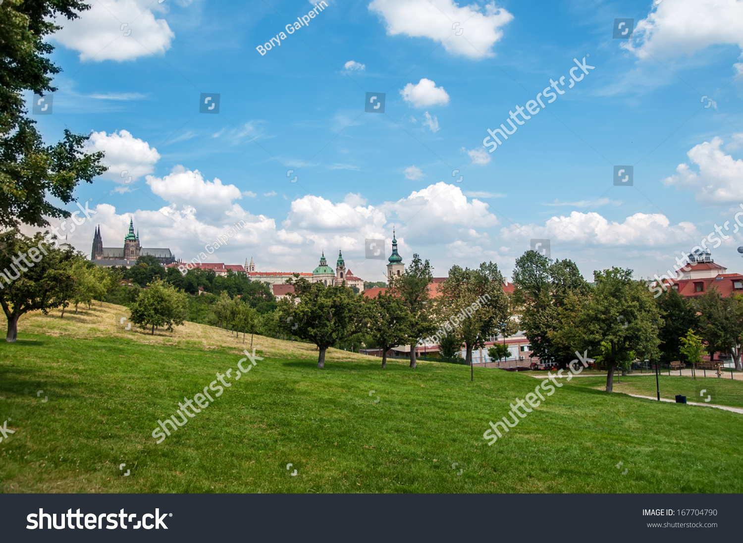 Stock options czech republic