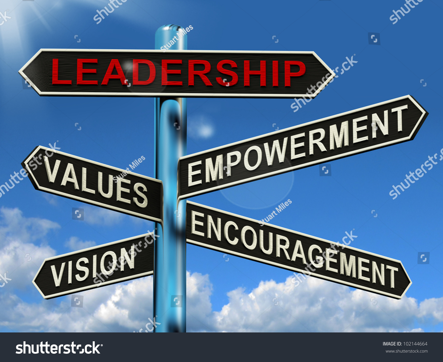 Visionary Leadership Vision And Values