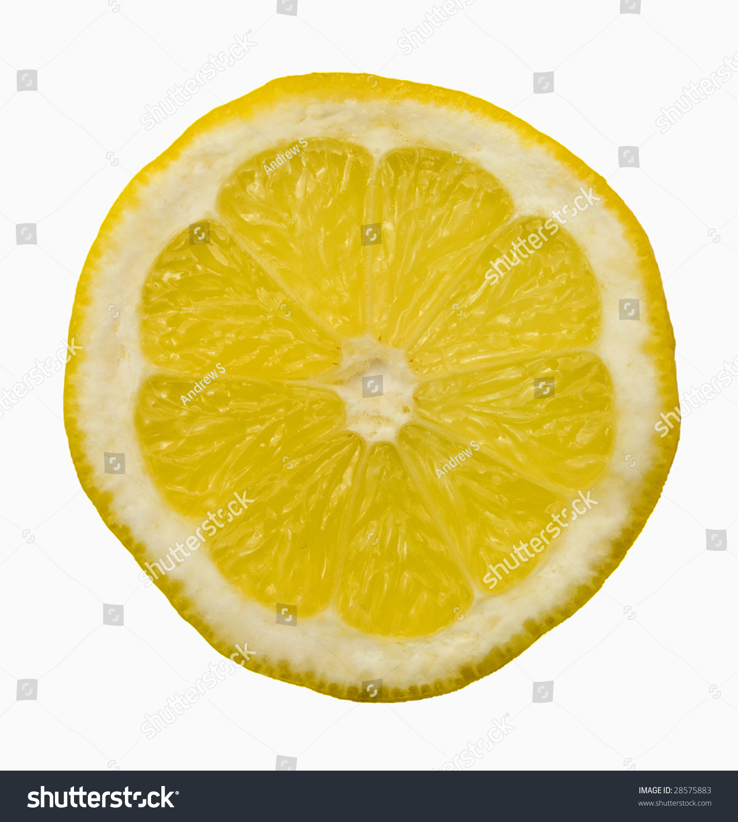 Lemon Cross Section Stock Photo 28575883 Shutterstock