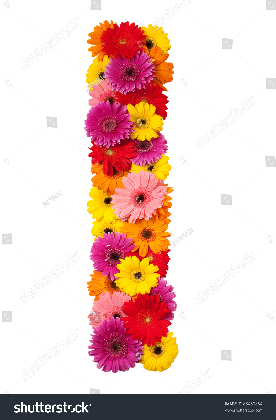 Pictures Of Flowers That Start With Letter J Pictures Of Flowers That Start With Letter J