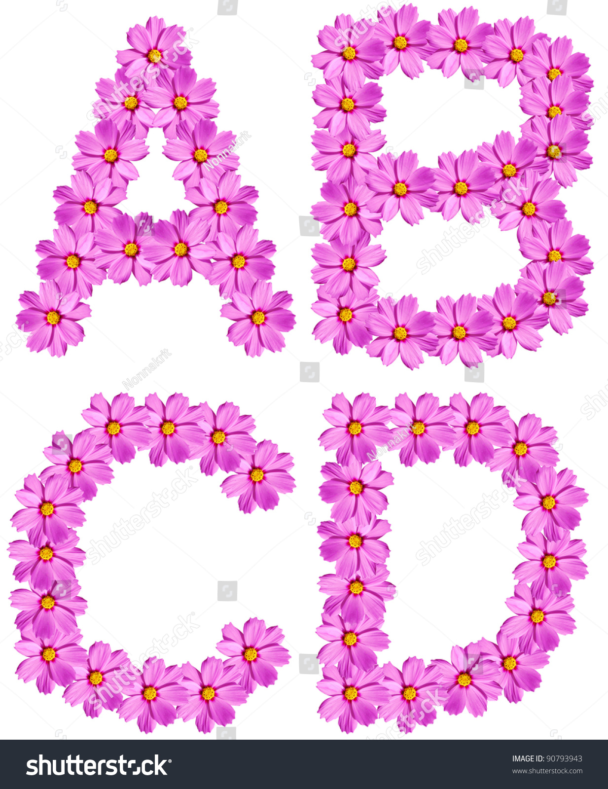 Letters Flower Alphabet Isolated On White Stock Photo