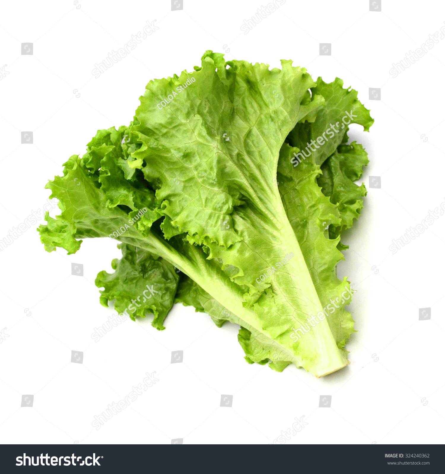 Lettuce Leaves Isolated On White Background. Stock Photo 324240362