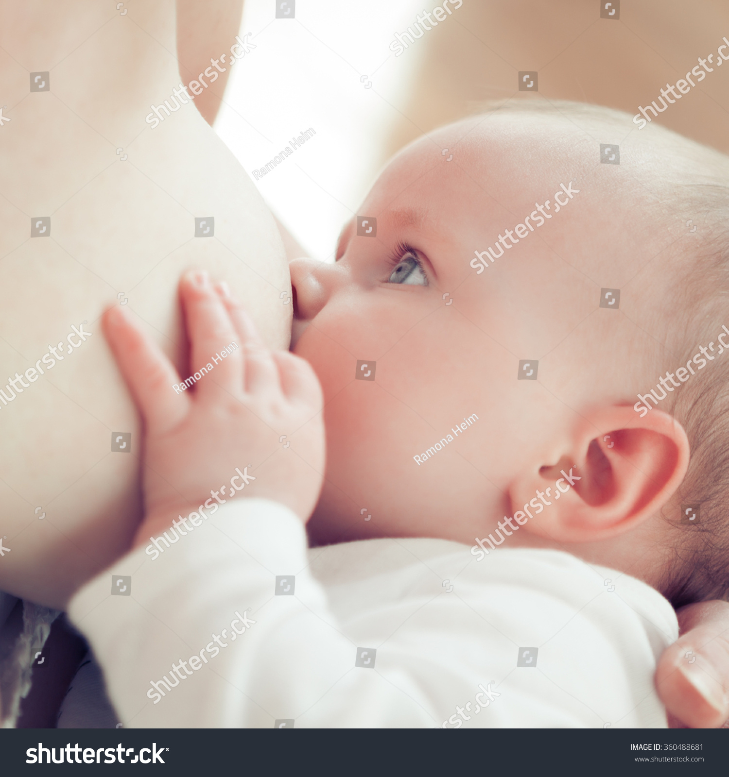Baby drinking from boob