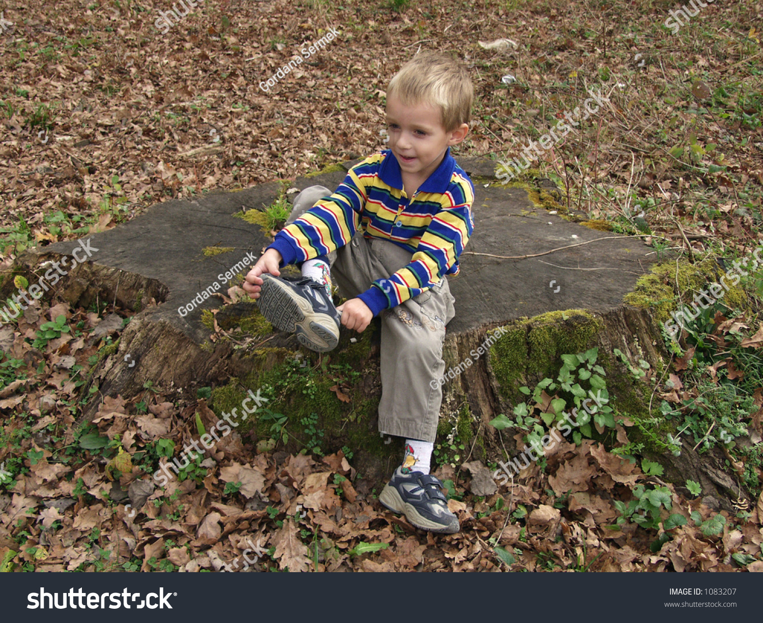 Little Boy In The Forest Sitting On A Log Stock Photo 1083207 