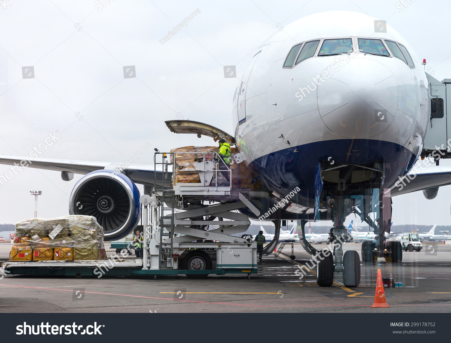 Loading Cargo Into The Aircraft Before Departure Stock Photo 299178752 