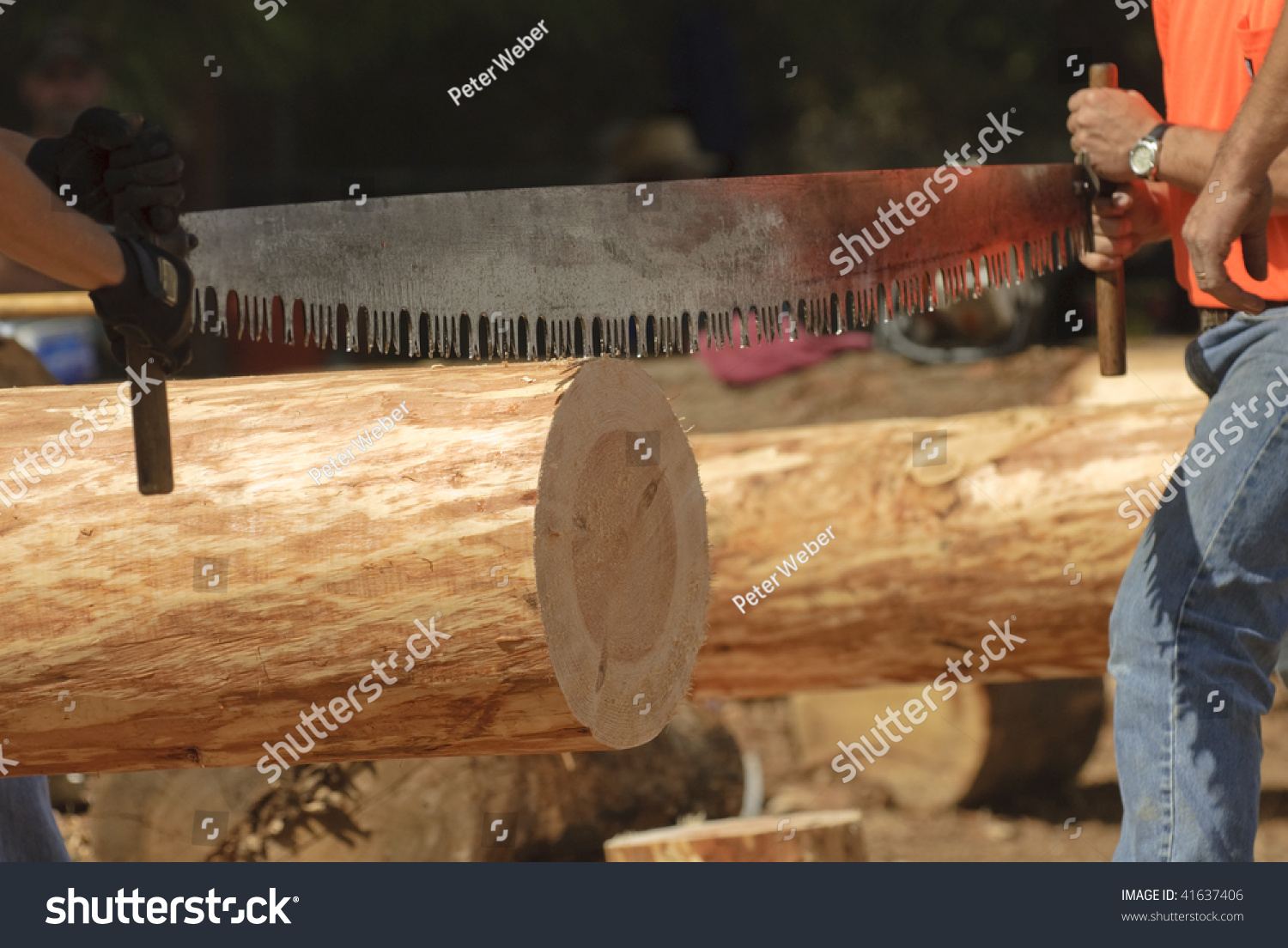 Loggers Using A TwoMan Crosscut Saw In A Logging Competition, Lining