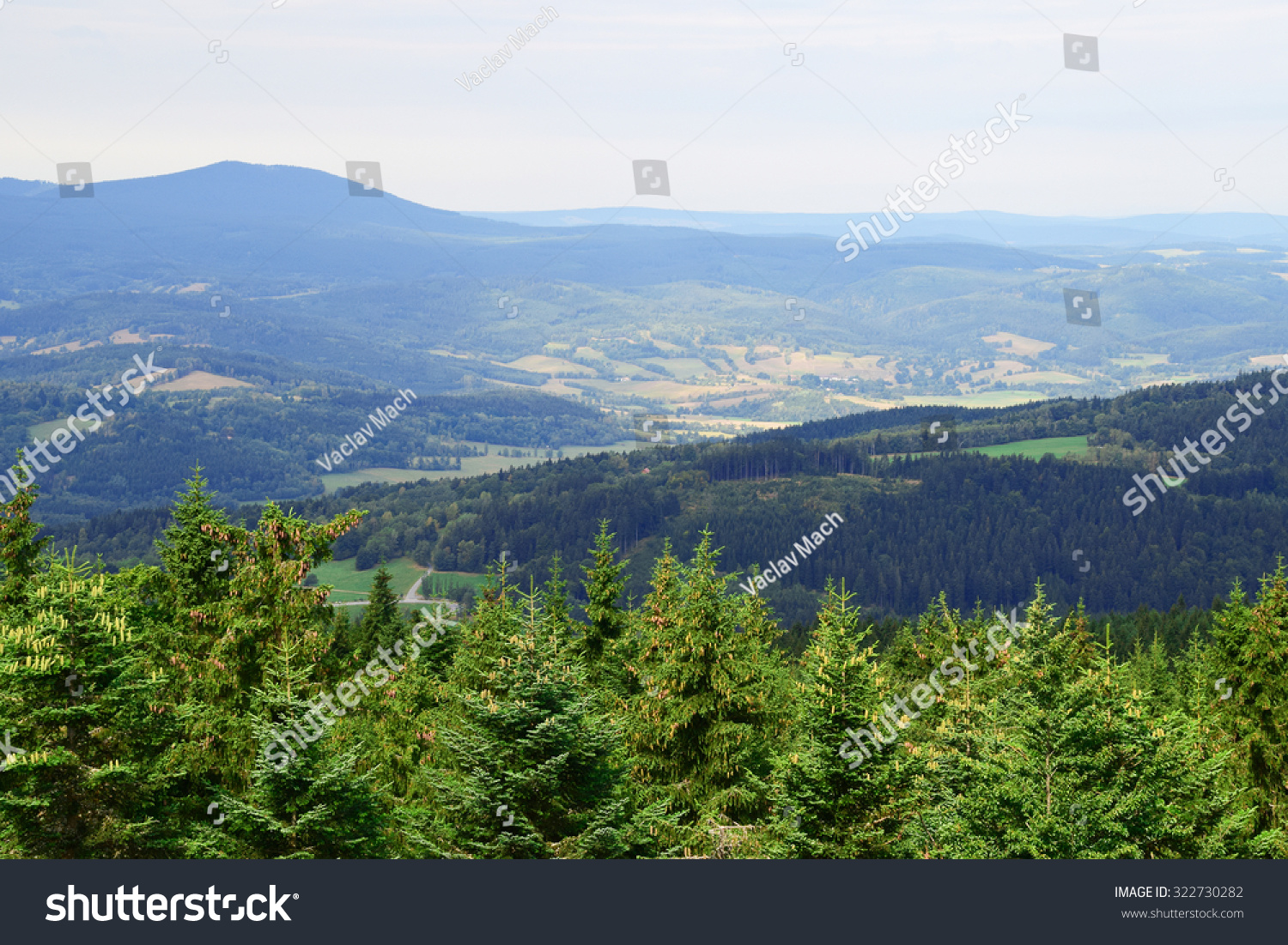 Stock options czech republic