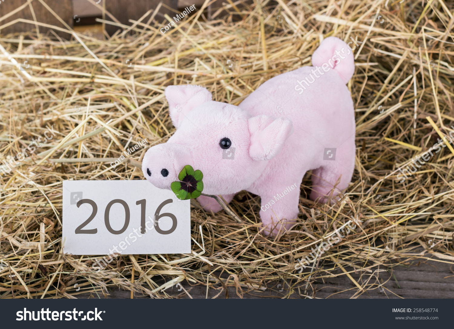 new year 2016 year of pig lucky pig with cloverleaf and card with text 2016 happy new year 2016 year of pig lucky pig with cloverleaf and card with text 2016 happy