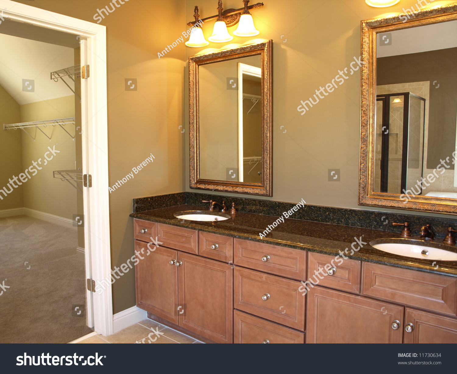 bathroom with sink the closet