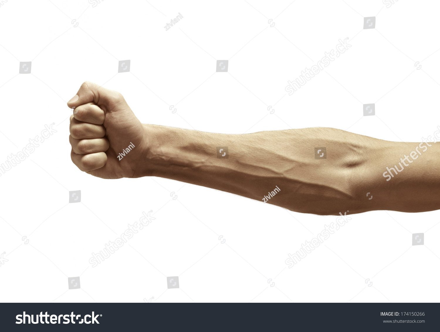 Male Arm With Visible Veins Stock Photo 174150266 : Shutterstock