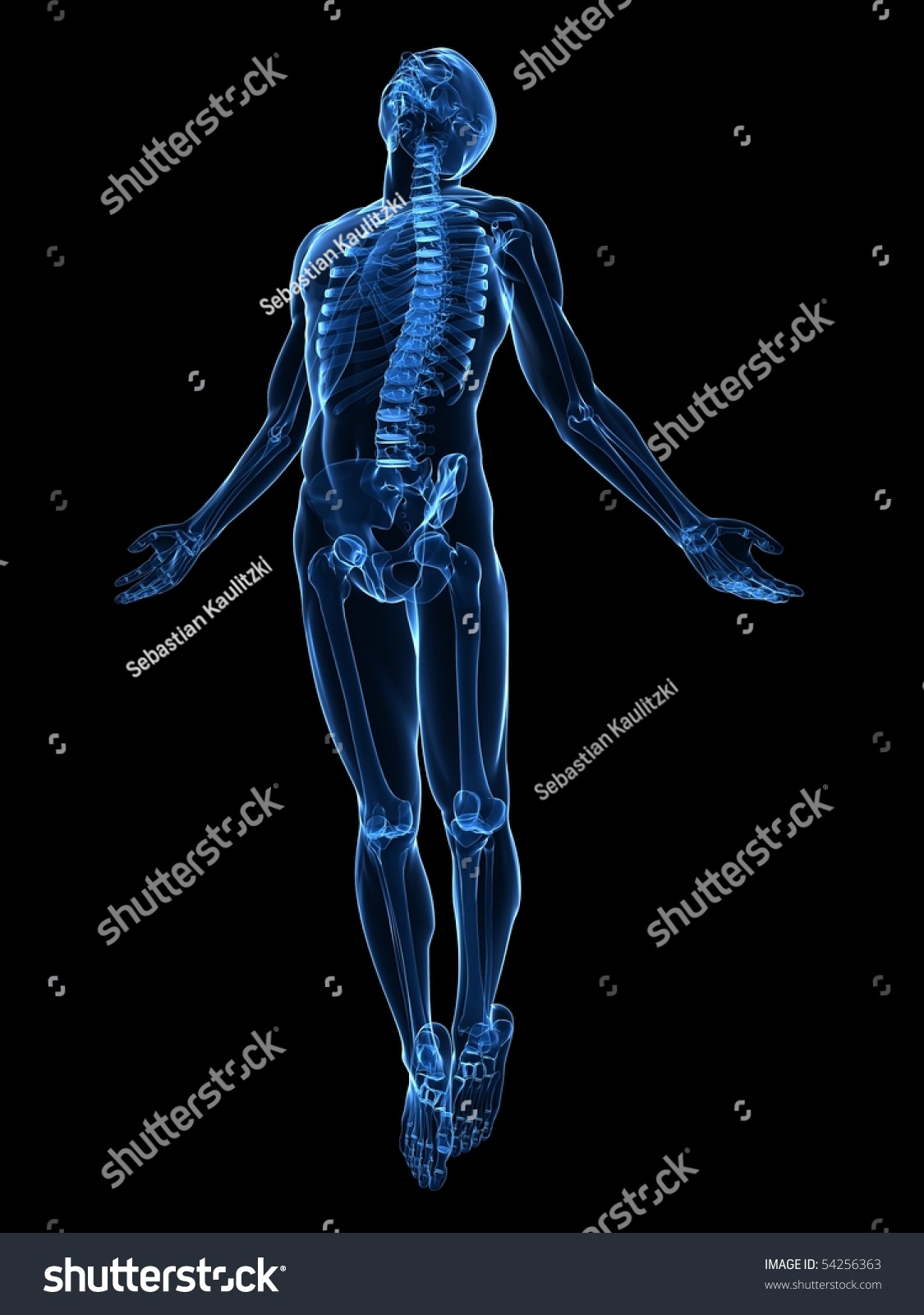 Male Body Rise Stock Photo Shutterstock