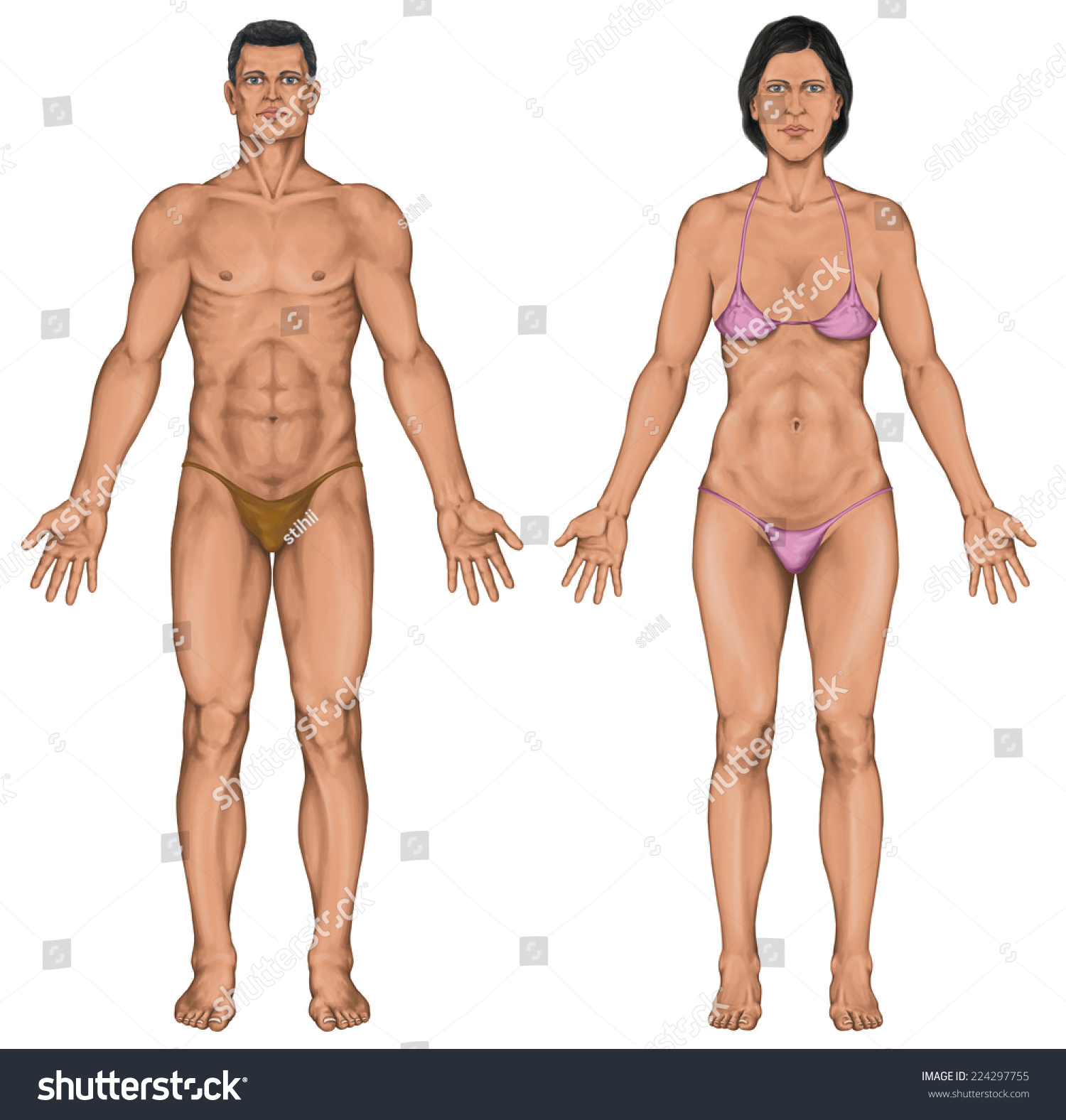 The Nude Female Body 13