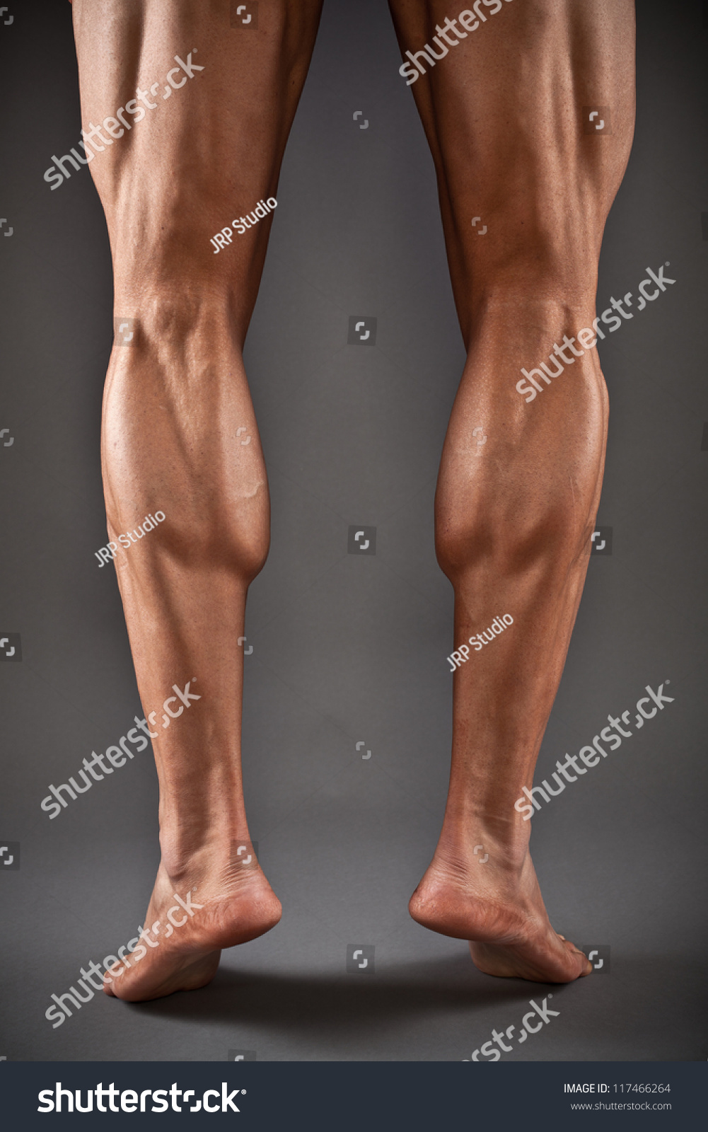 Male Muscular Legs Stock Photo 117466264 : Shutterstock