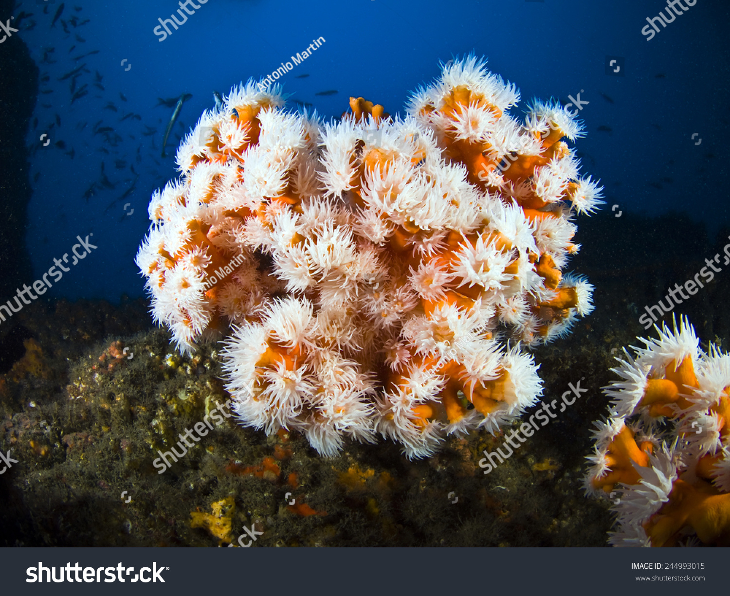 Stock options underwater