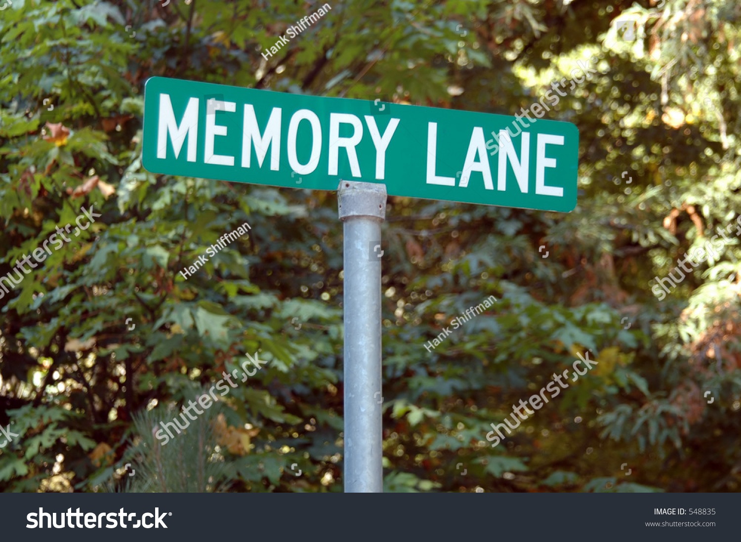 Memory Lane Street Sign