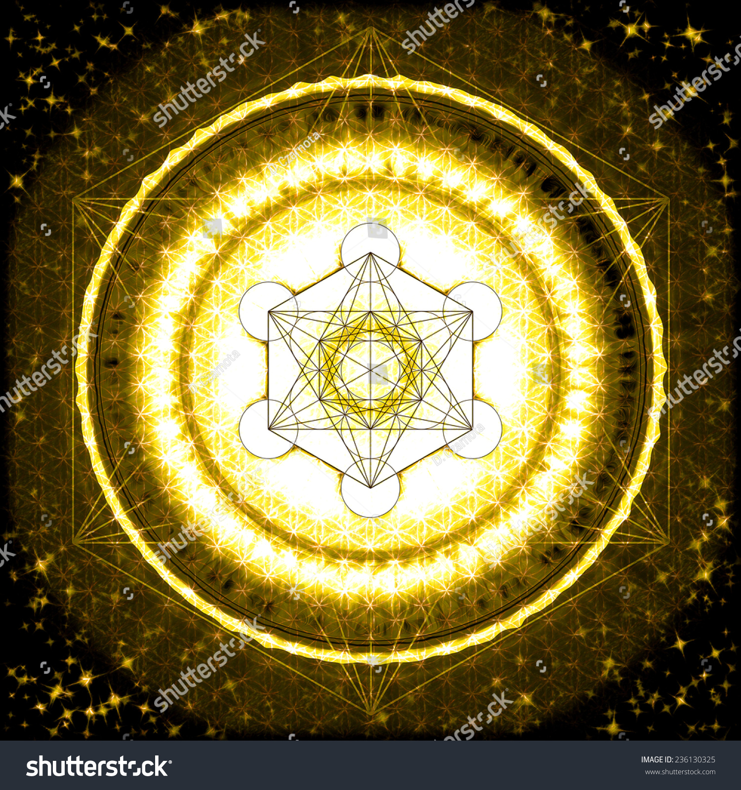 Metatrons Cube Stock Illustration 236130325 - Shutterstock