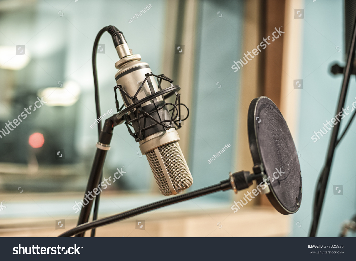 Microphone in recording studio Microphone in recording studio