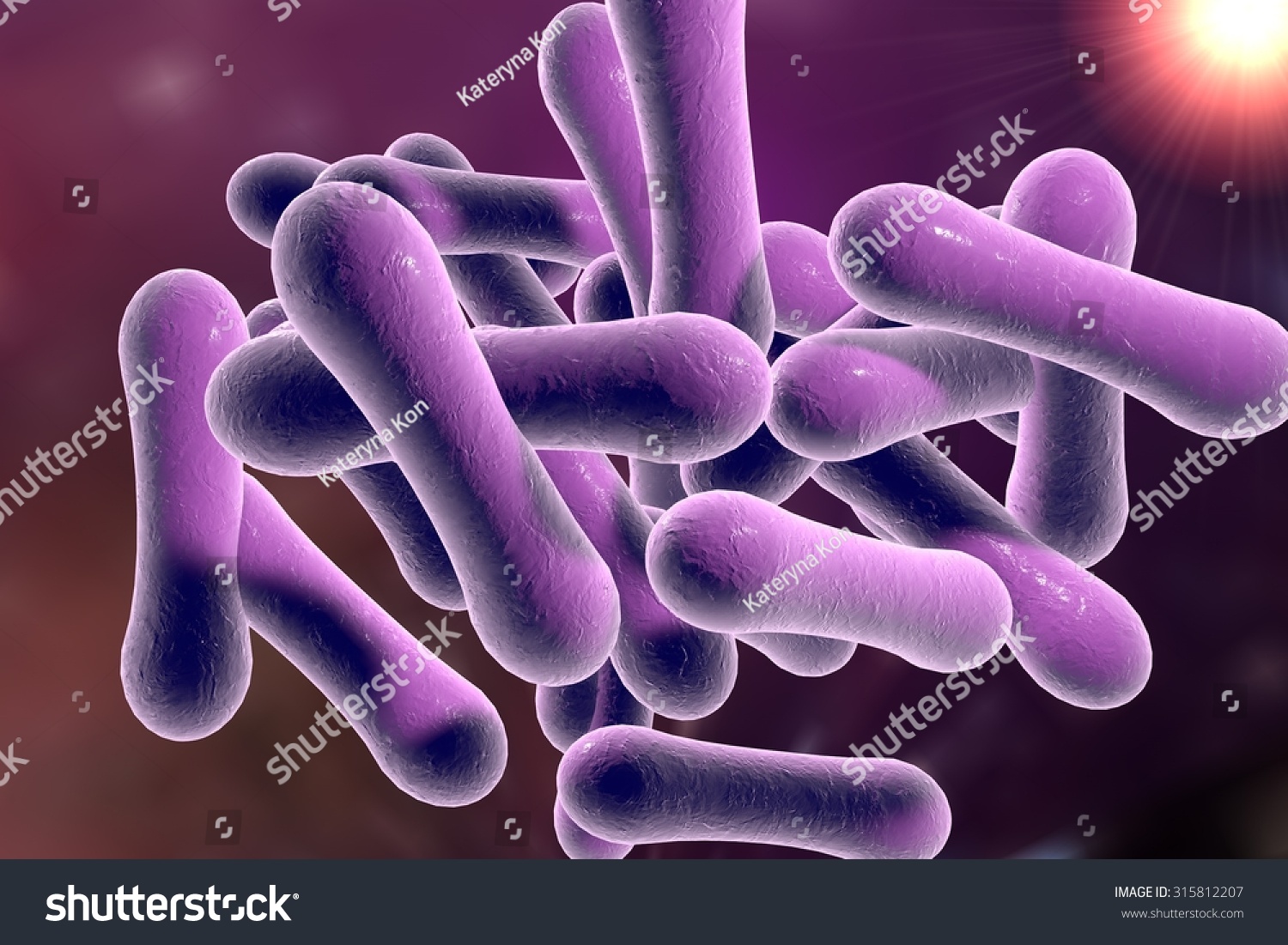 Microscopic Illustration Of Corynebacterium Diphtheria Gram Positive Rod Shaped Bacterium Which