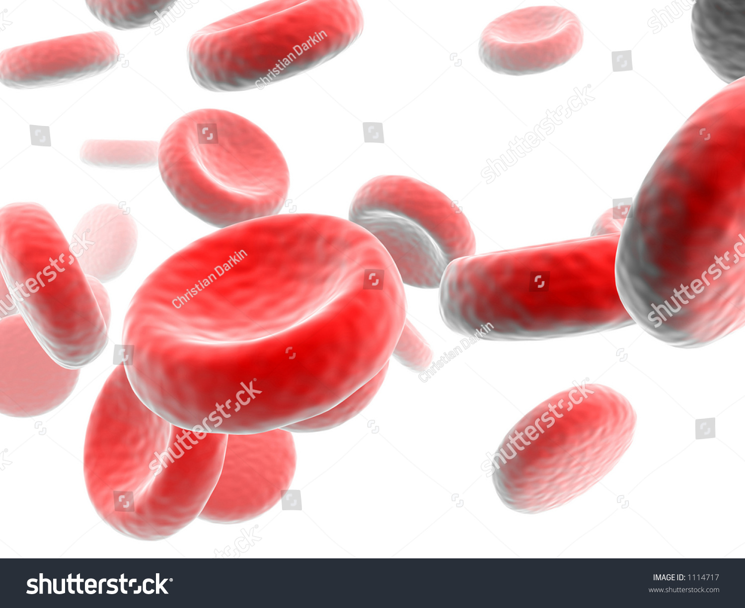 Microscopic Image Blood Cells Flowing Vein Stock Photo Edit Now