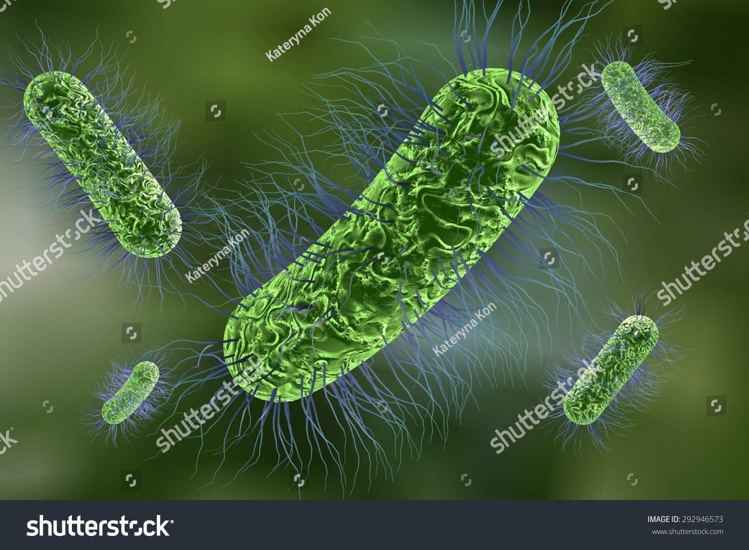 Microscopic View Of Escherichia Coli Salmonella Enteric Bacteria On