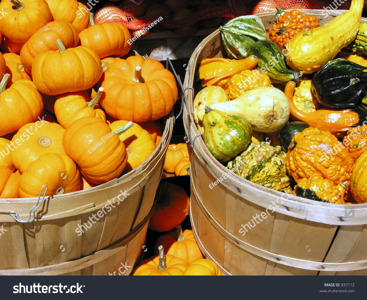 Mini Pumpkins And Gourds In Baskets On Vegetable Stand Stock Photo