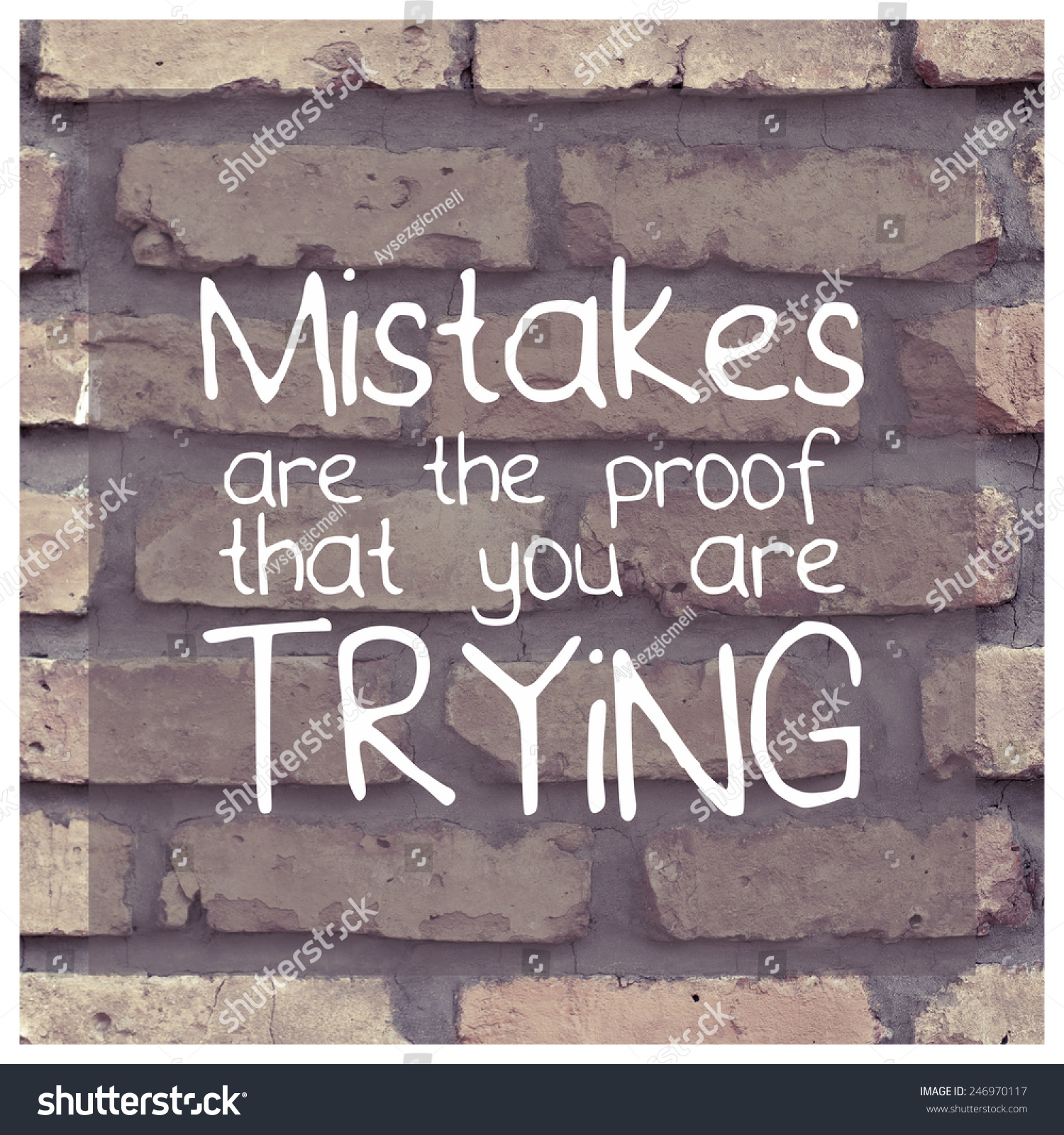 Mistakes Proof That You Trying Motivational Stock Photo 246970117 ...