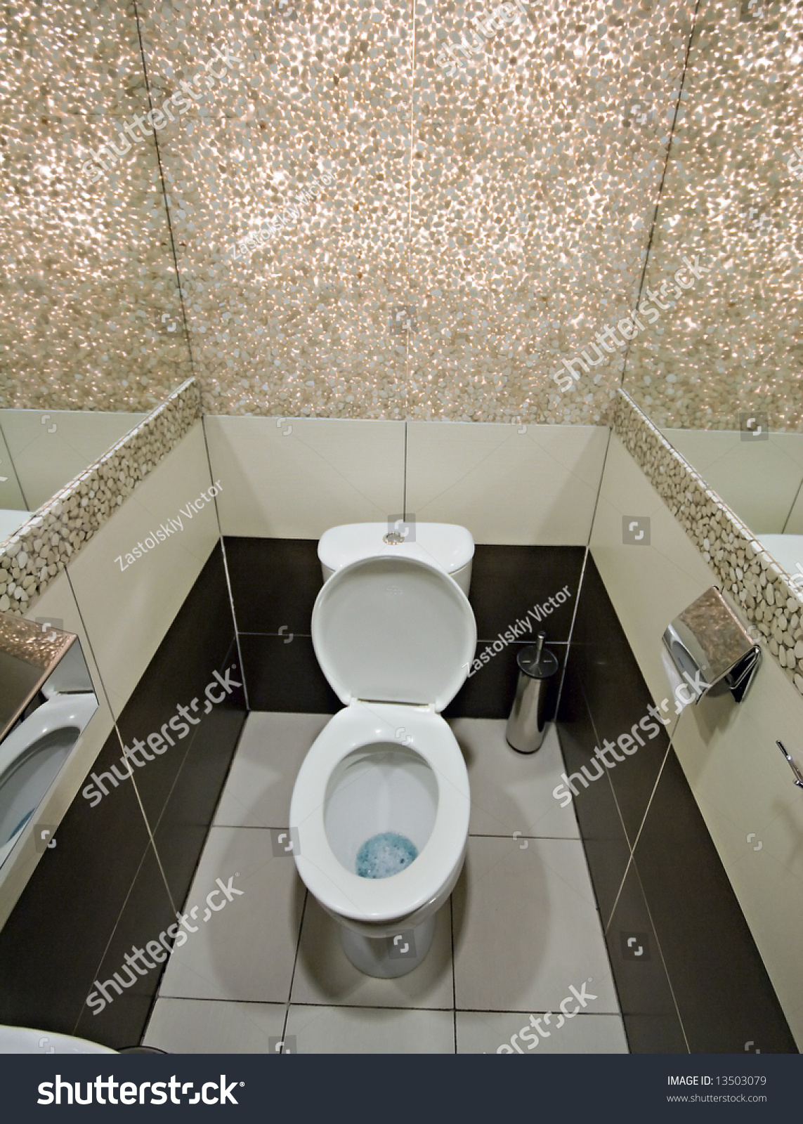 Modern Decorated Toilet Interior Stock Photo 13503079 - Shutterstock