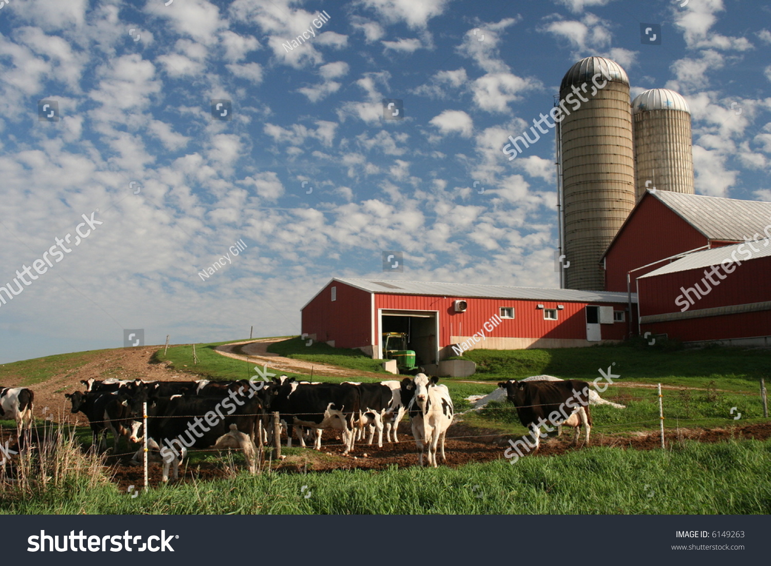 Modern Wisconsin Dairy Farm Cows Stock Photo 6149263 Shutterstock