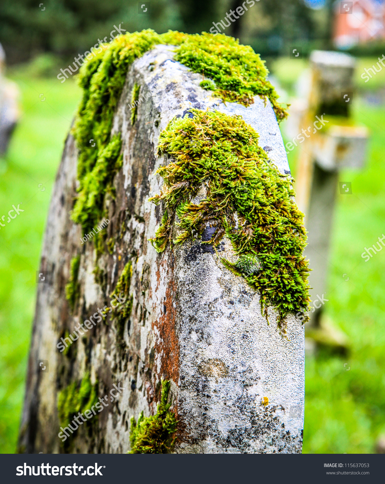 Moss Covered Grave Stone Stock Photo 115637053 : Shutterstock