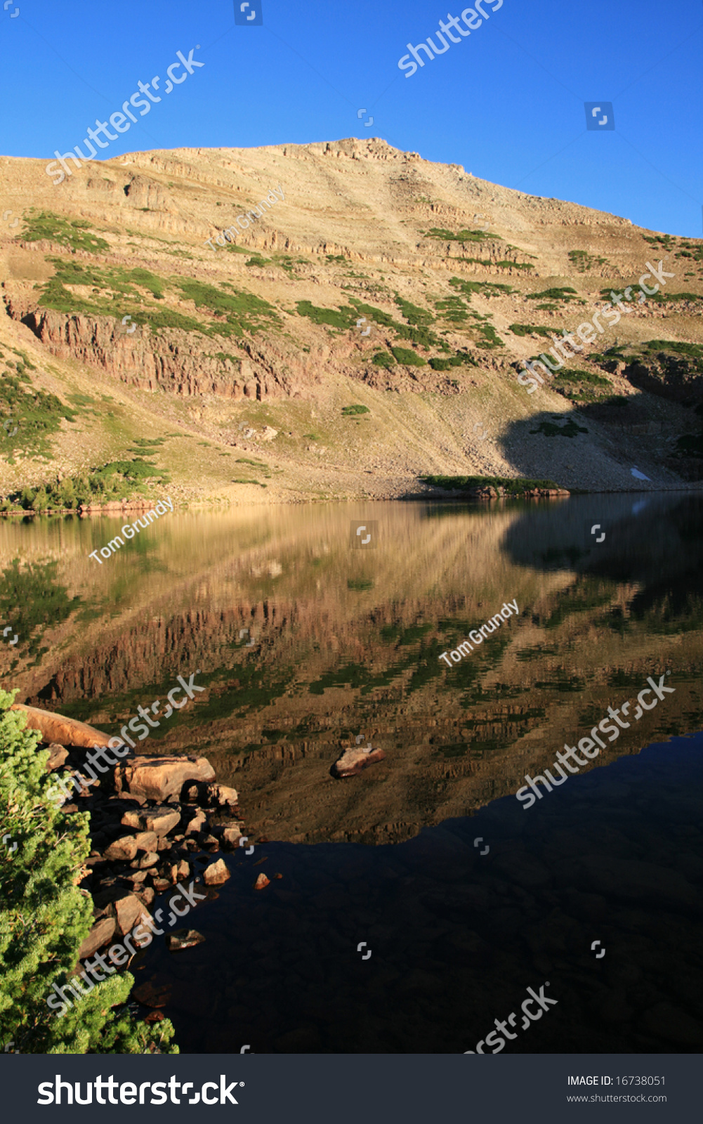 Mount Agassiz Reflected In Blue Lake In Naturalist Basin High Uintas Wilderness Utah Stock 6762