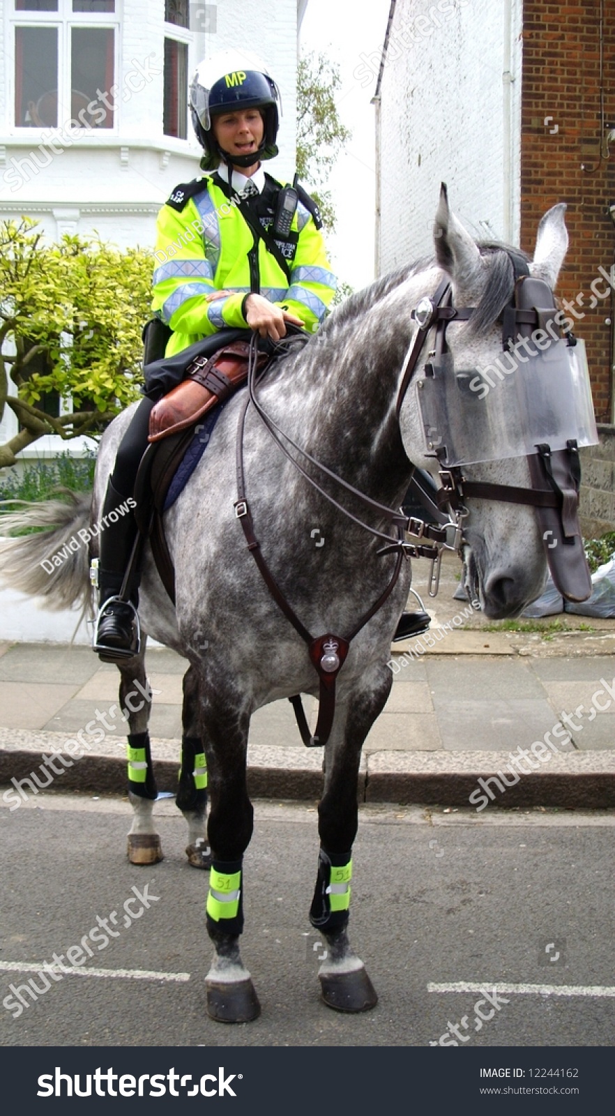 mounted police shutterstock