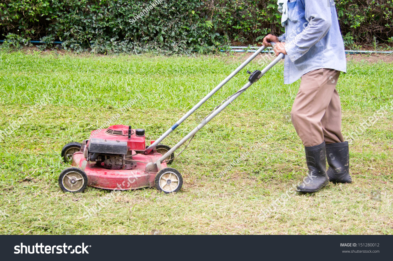 Mowing The Lawn Stock Photo 151280012 Shutterstock