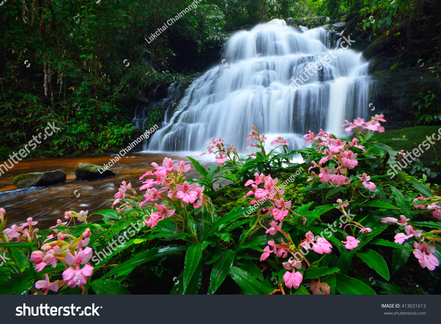 Mun Dang waterfall and dragonflowers it's waterfall in the rainforest in Thailand Mun Dang waterfall and dragonflowers it's waterfall in the rainforest in Thailand