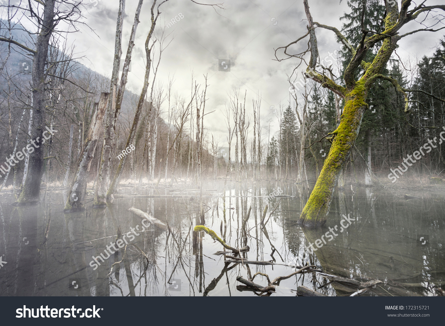 Foggy bottom swamp monster