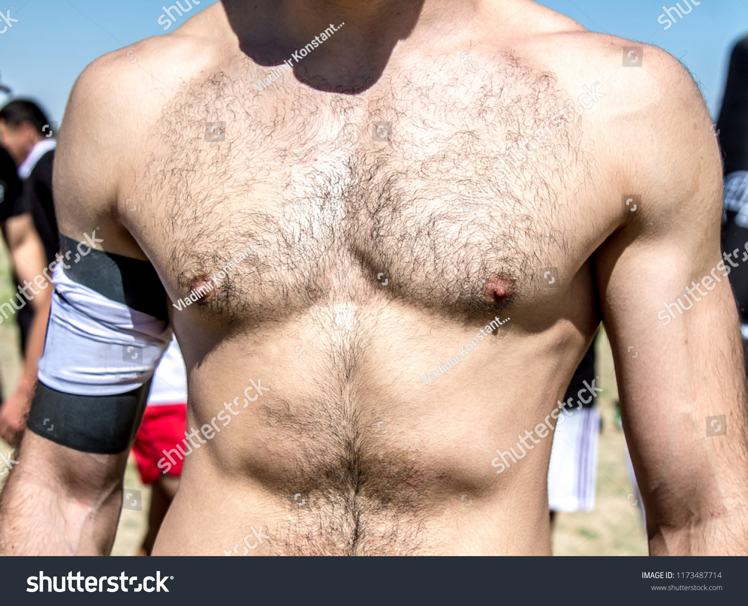 Naked Hairy Male Torso库存照片1173487714 Shutterstock