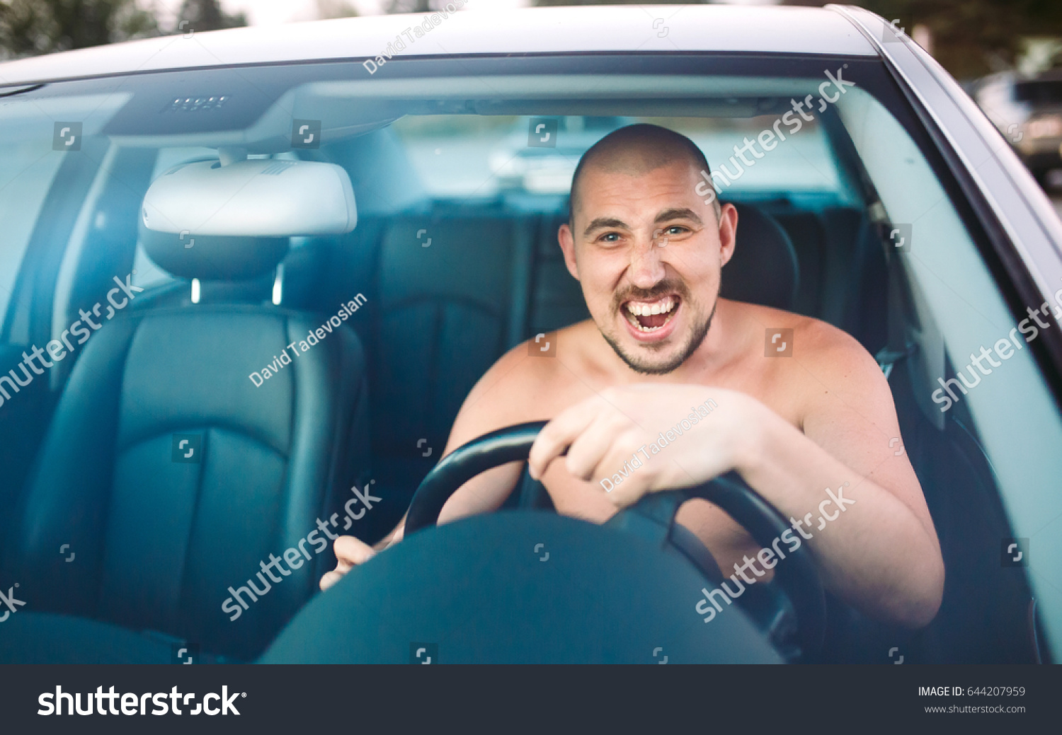 332 Men Drive Naked Stock Photos Images Photography Shutterstock