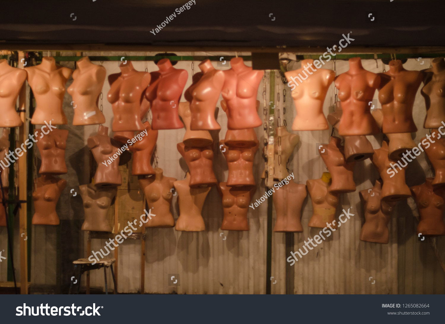 Naked Mannequins Many Torsos Stock Photo Edit Now 1265082664