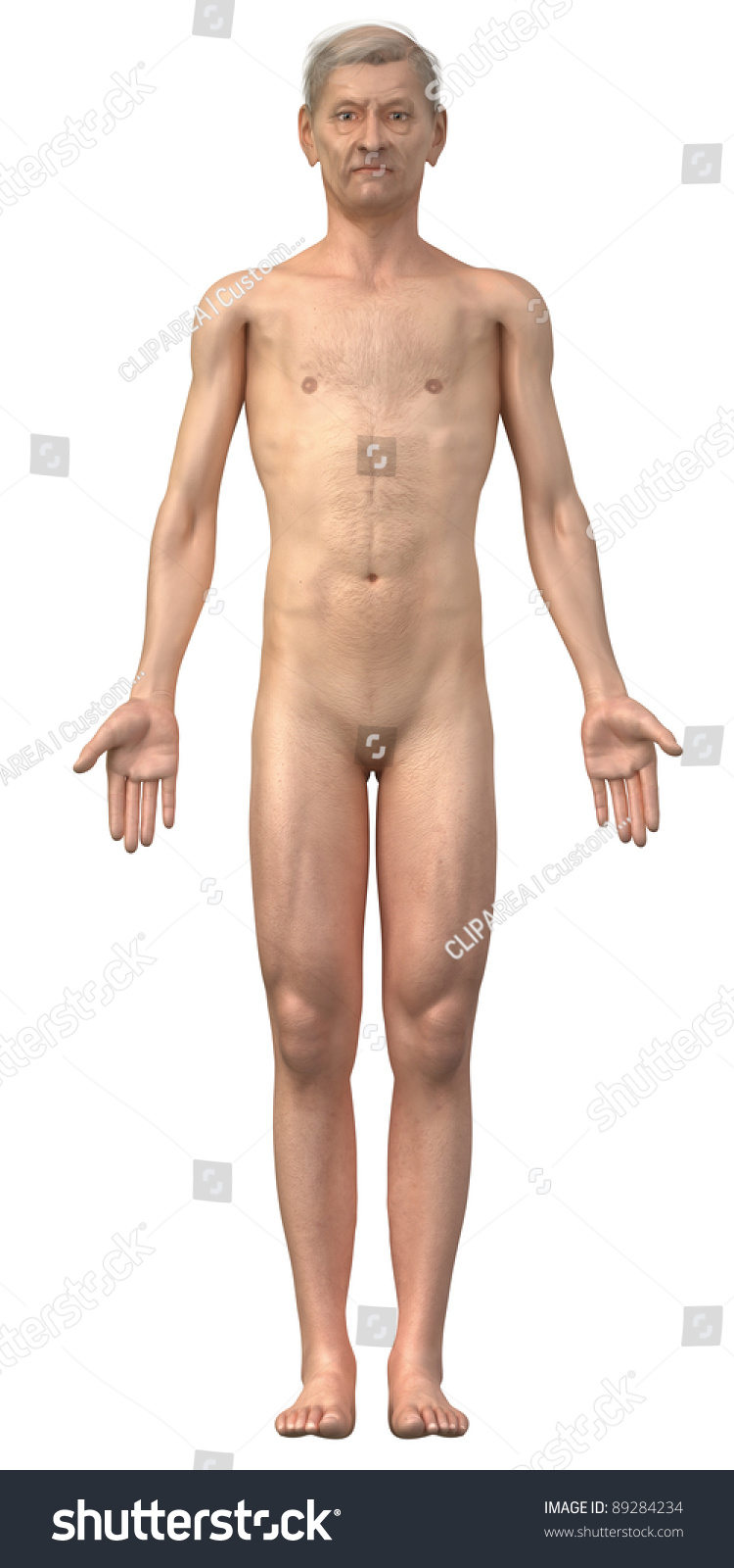 Nude woman in anatomical position Quarter midget motor danny rousch
