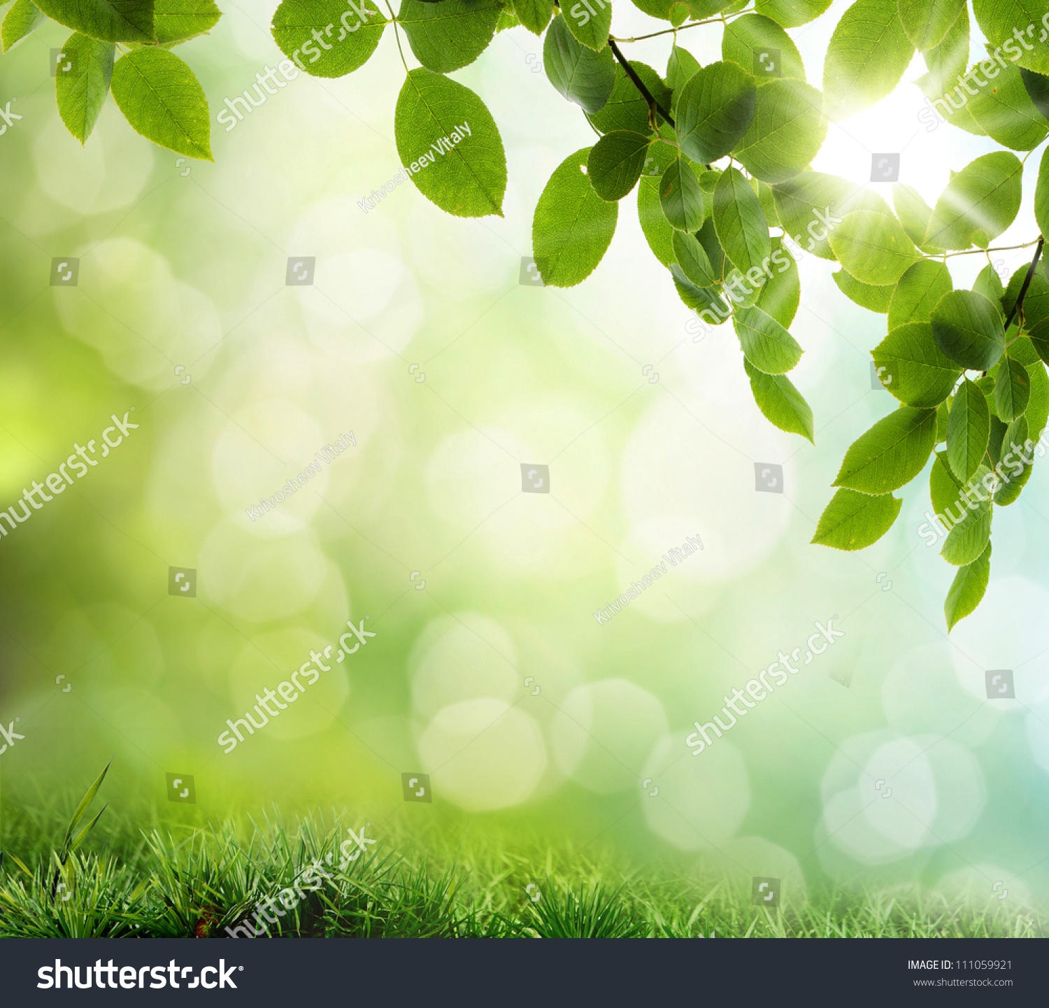 Natural Green Background Selective Focus Stock Photo 111059921