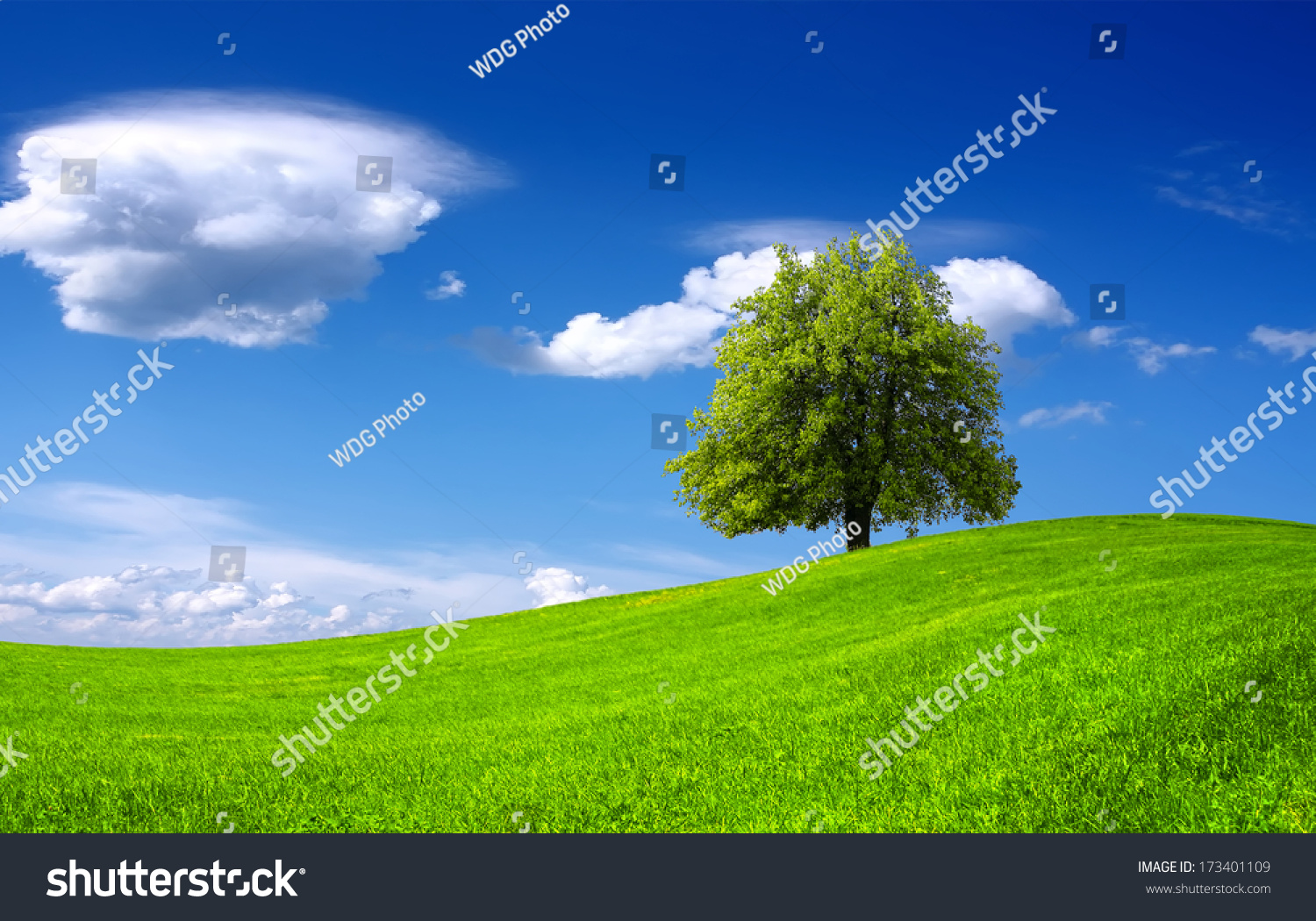 Nature Green Landscape Stock Photo 173401109 : Shutterstock