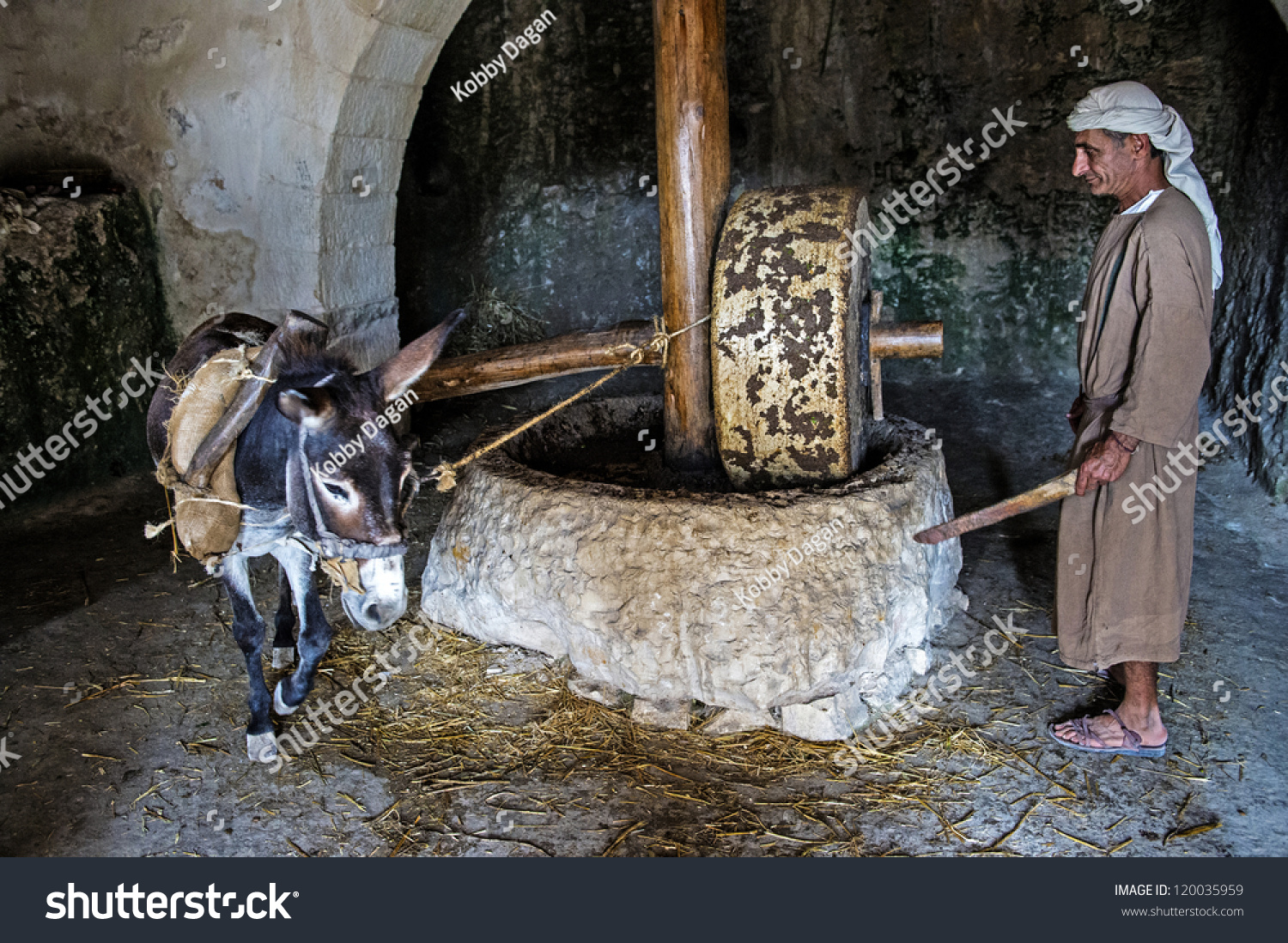 stock-photo-nazareth-israel-oct-millstone-donkey-used-for-pressing-olives-to-make-olive-oil-in-120035959.jpg