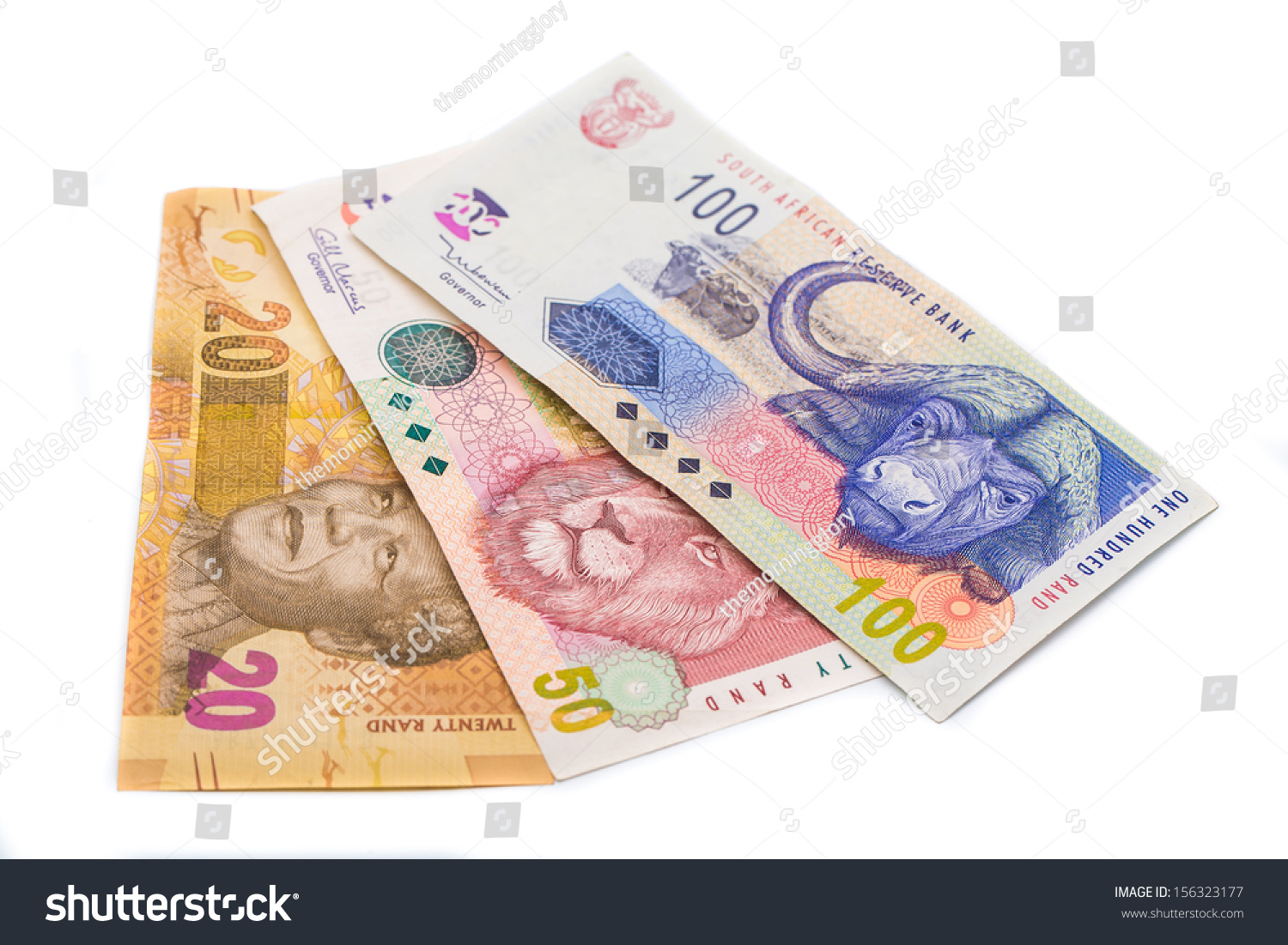 Forex profit cheetah free download