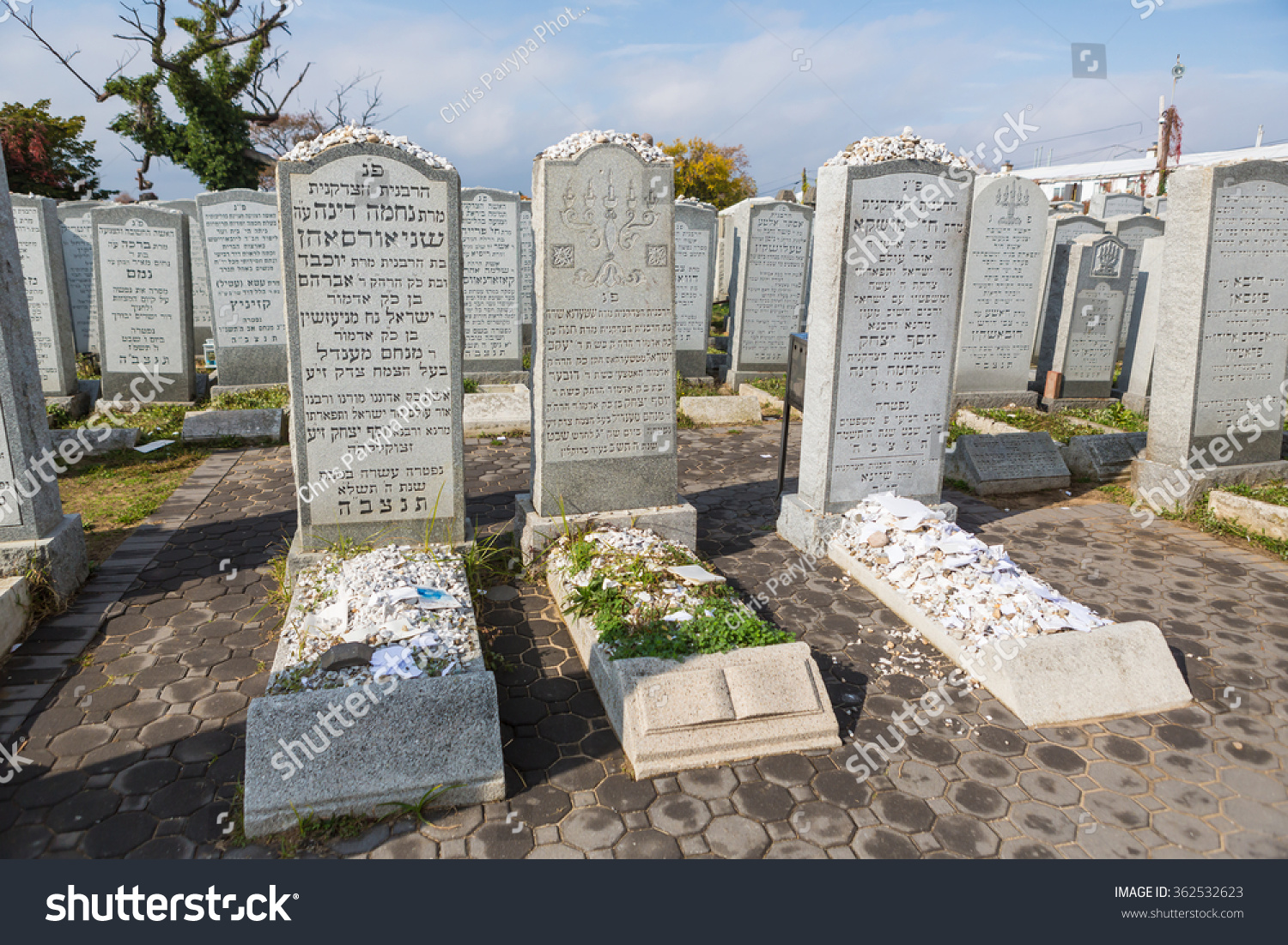 New York - November 6: Gravestones At Montefiore Cemetery In New York 