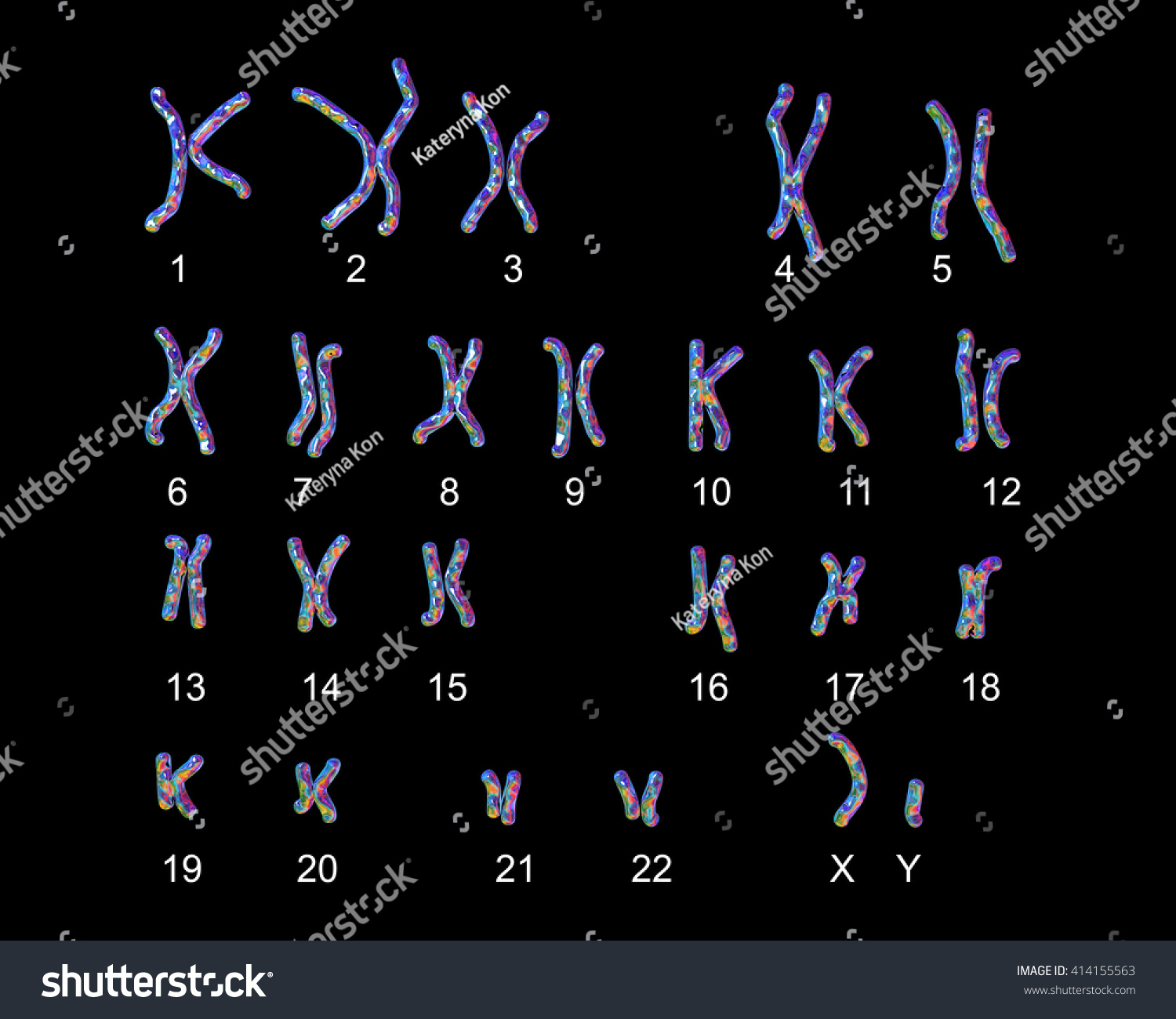 Ilustrasi Stok Normal Human Male Karyotype Labeled D