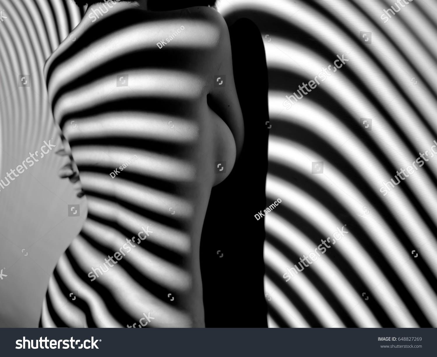 Nude Woman Sexy Artistic Black White Stock Photo 648827269 Shutterstock