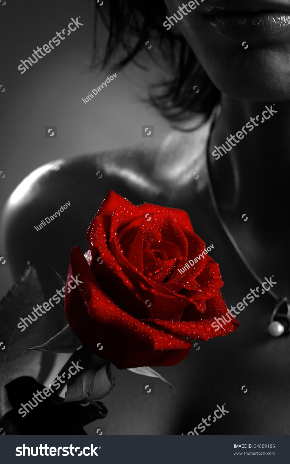 Black And White Red Rose